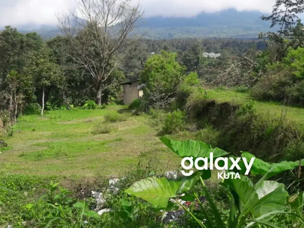 DIJUAL TANAH COCOK UNTUK KEBUN VILLA LOKASI BAGUS DI BEDUGUL TABANAN