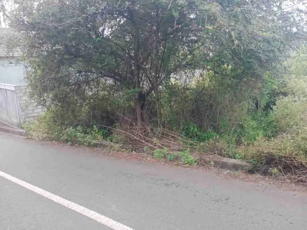 Jual Tanah 3 ara Zona Kuning Jl Merak Ungasan area Investasi