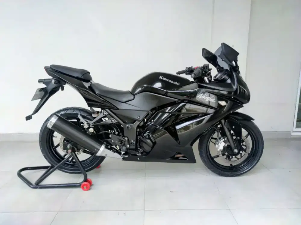 Kawasaki Ninja 250 CARBU 2010