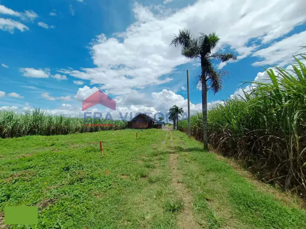 Tanah Kavling Strategis Pakisaji Malang Dekat Pendidikan & Kesehatan