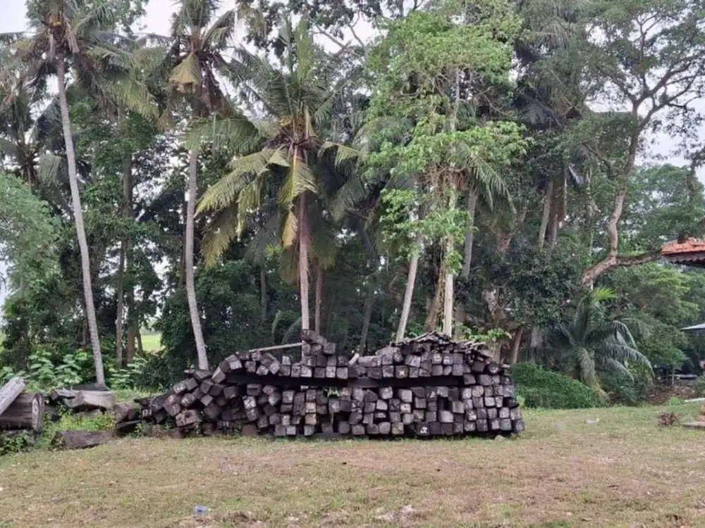 Tanah 28,75 Are View Sawah Dijual, di Tanah Lot Tabanan Area