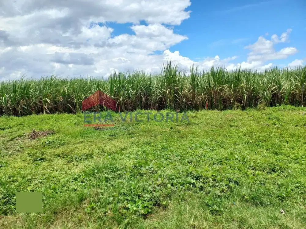 Tanah Kavling Pinggir Jalan Pakisaji Cocok Rumah Tinggal atau Usaha