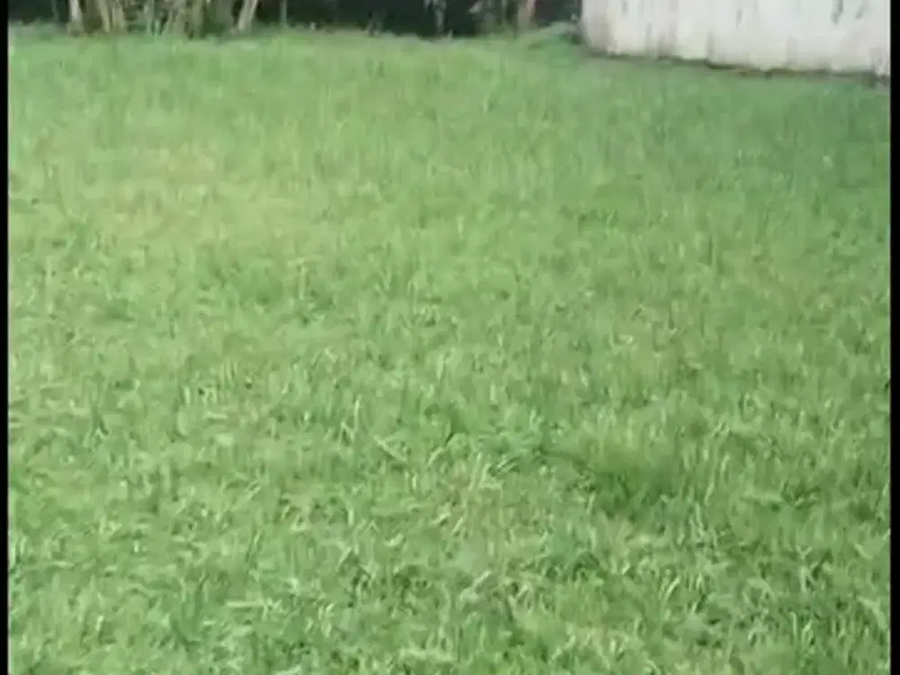 Dijual Tanah Perum PRV Sarijadi Bandung