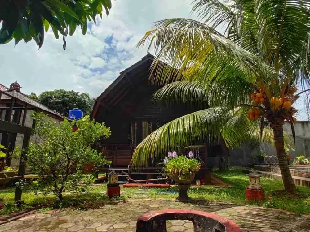 Bungalow Tropis Hitung Tanah di Jagakarsa - Lahan Kotak 600 m2 Plus Kolam Renang