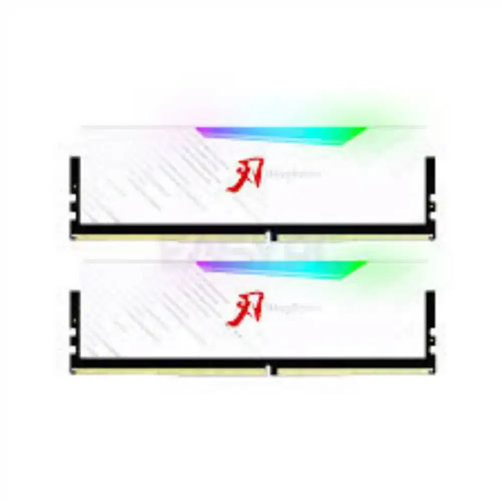 RAM DDR4 32GB (2x16GB)