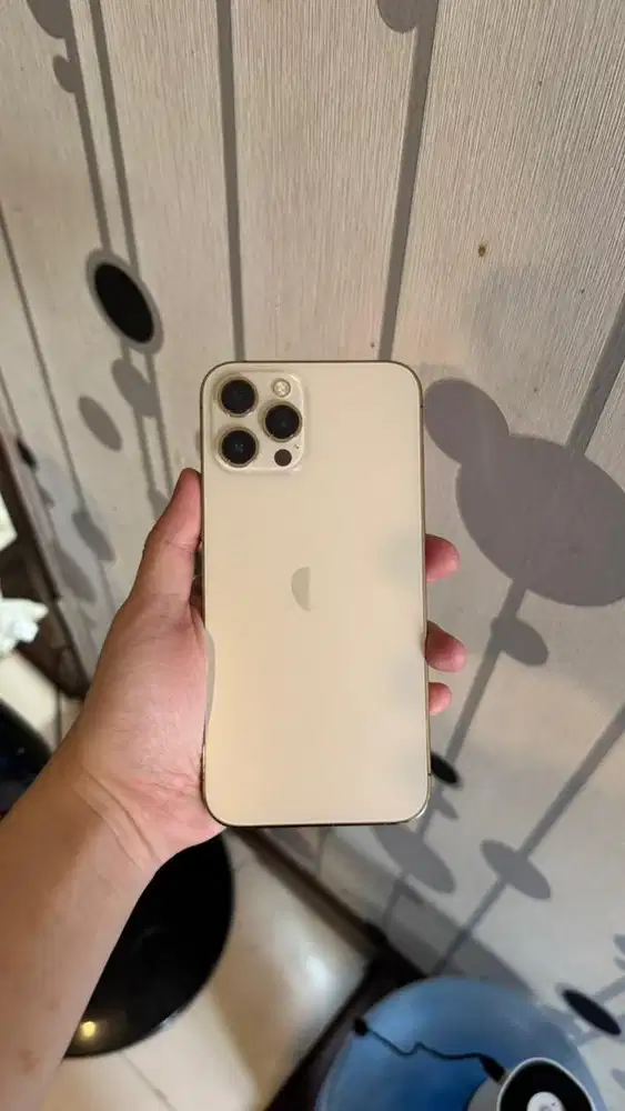 iphone 12 pro max 256 gold