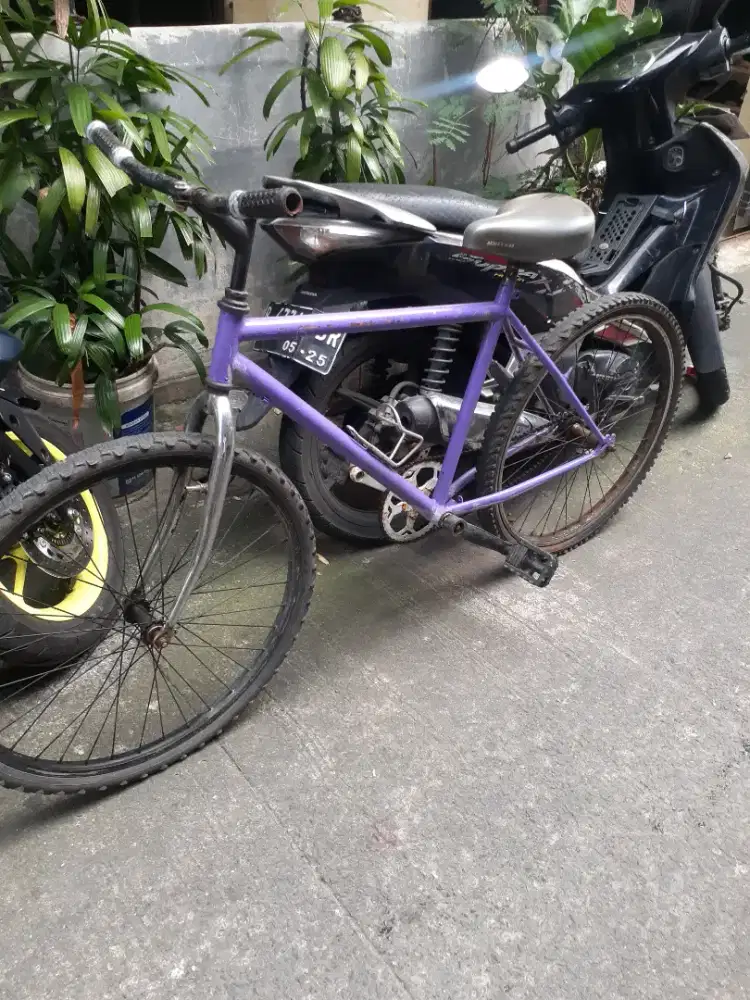 Sepeda federal united