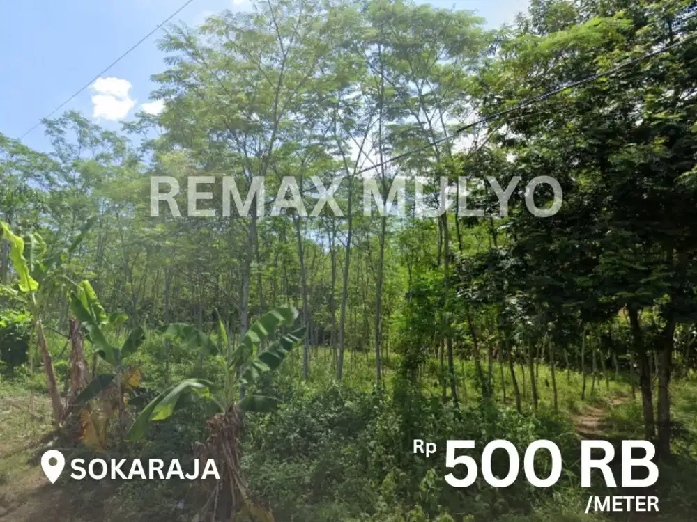 Dijual Tanah Seluas 6.558m2 Cocok Untuk Hunian/Industri