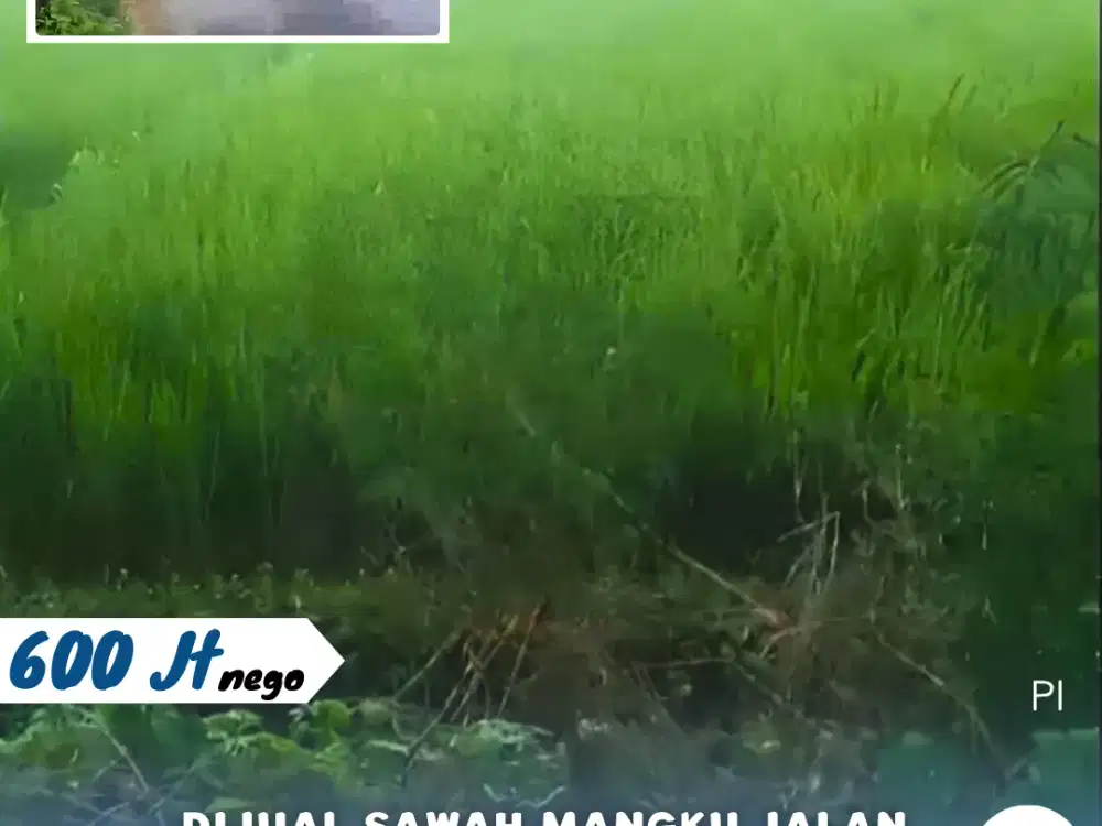 Dijual Sawah di Tasikmadu Karanganyar