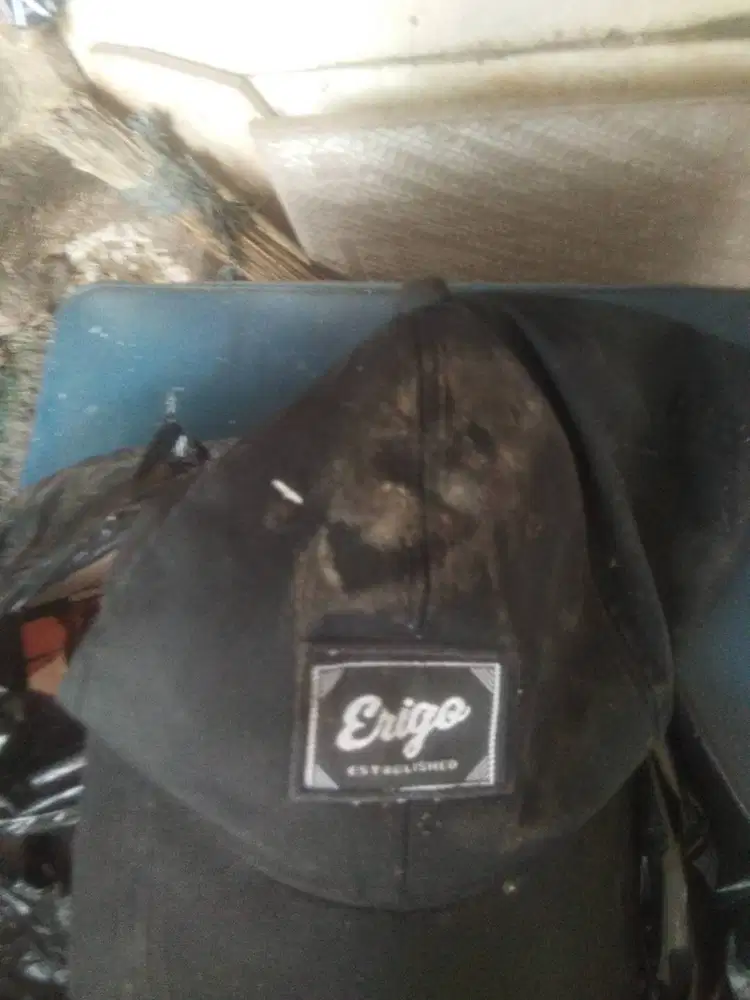 Erigo ada di Indonesia