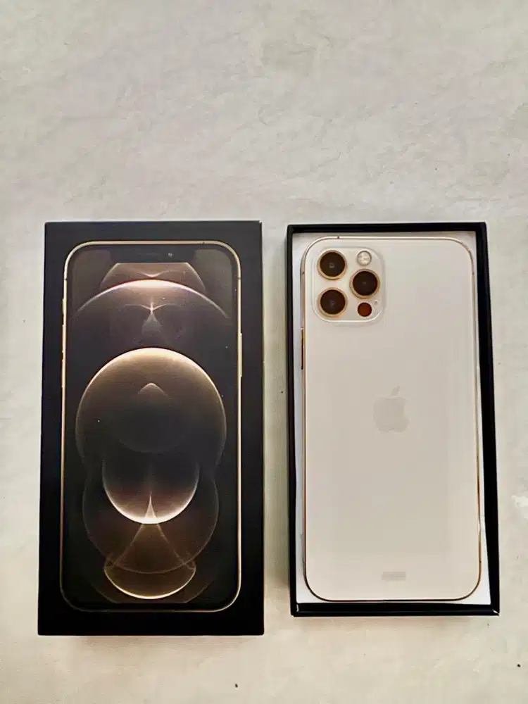 Apple Iphone 12 Pro