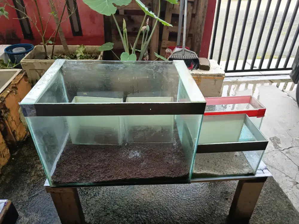 Aquarium 60x40 (Gratis Aquarium kecil)