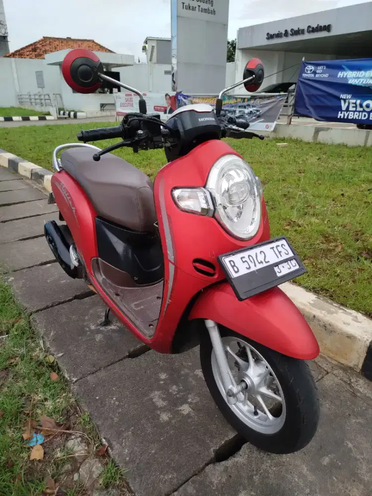 Honda Scoopy 2020 gress