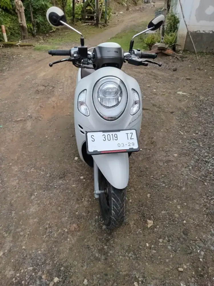 Scoopy prestige 2024