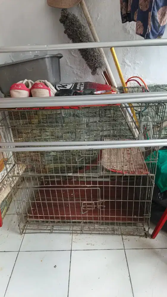 Jual kandang kucing