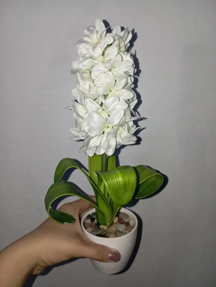 Bunga Hias Dekorasi Meja