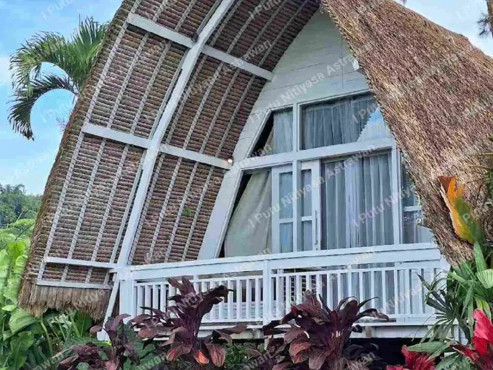 FOR SALE Eco Boutique Hotel Ricefield & Mountain View di Baturiti Bedugul – Freehold