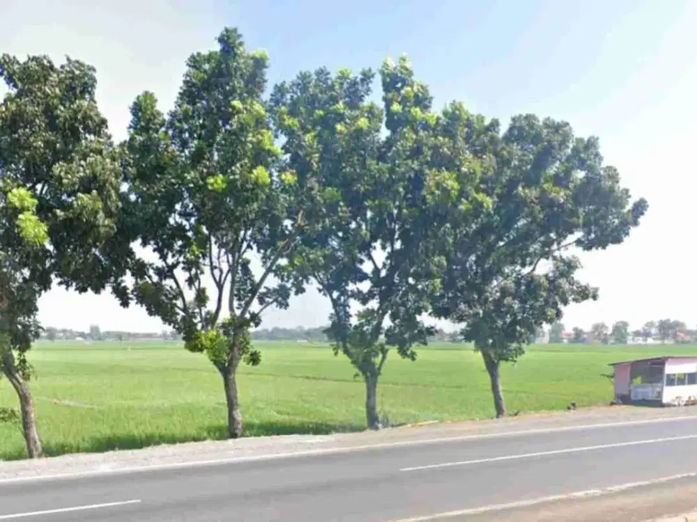 tanah ploting industri pemalang