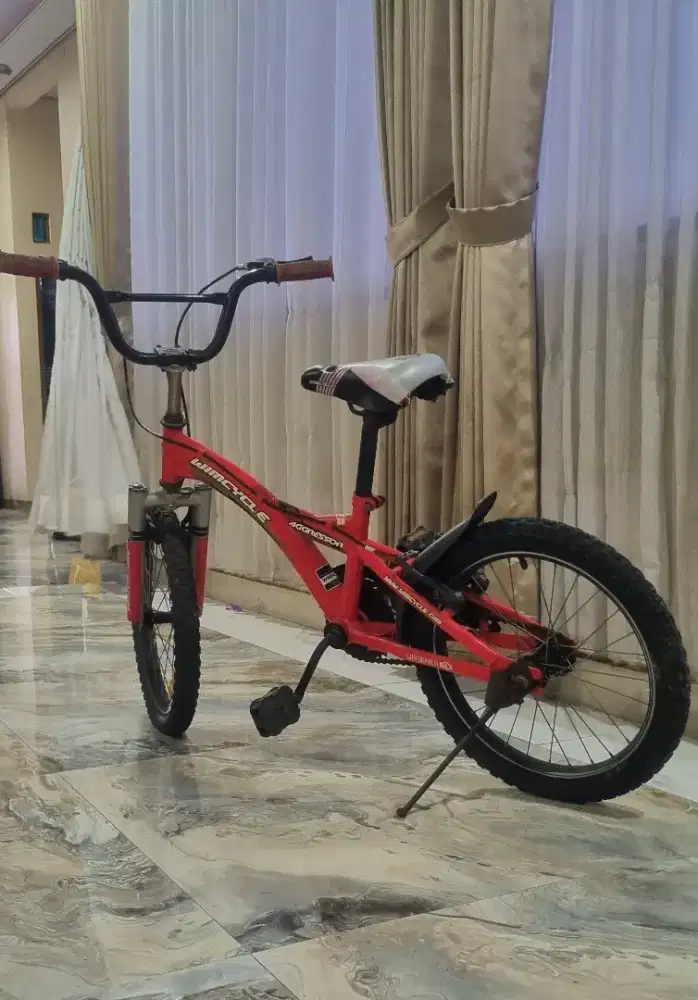 Sepeda Wymcicle ring 14