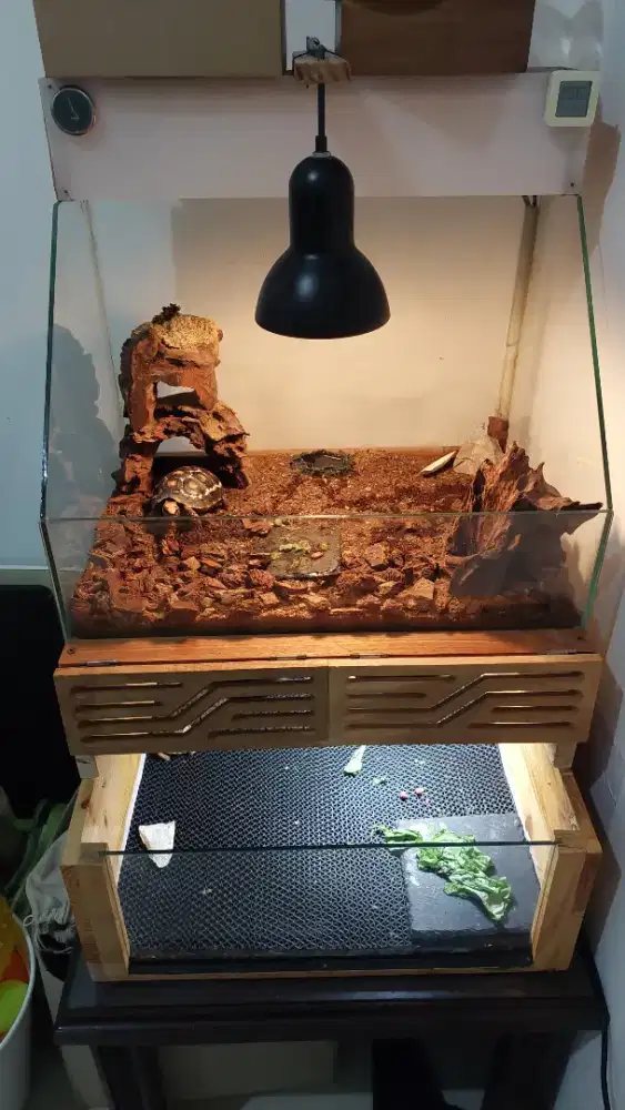 KANDANG KURA KURA DARAT (TORTO)