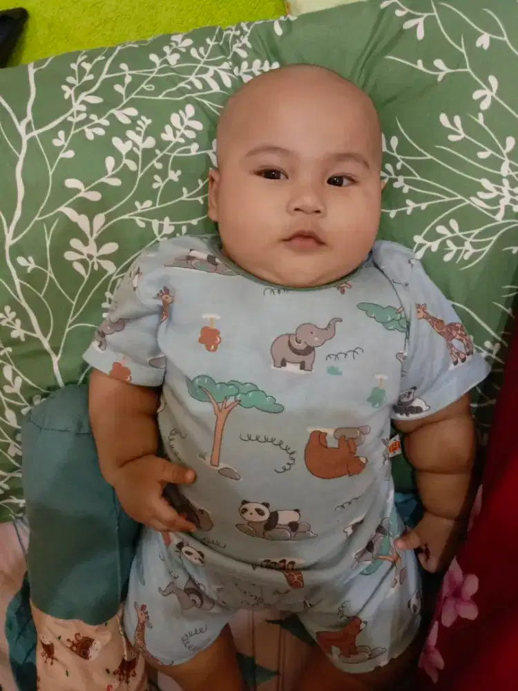 Di butuhkan baby sister ngurus bayi kecil