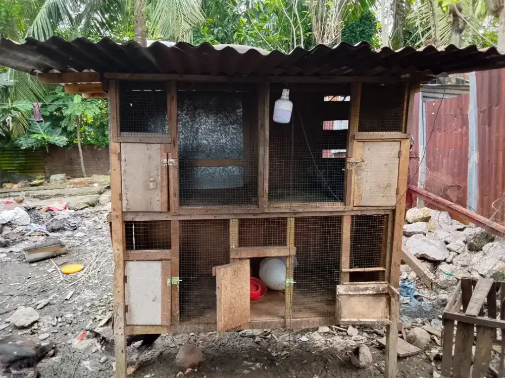 Jual kandang ayam lengkap sama lampu otomatis