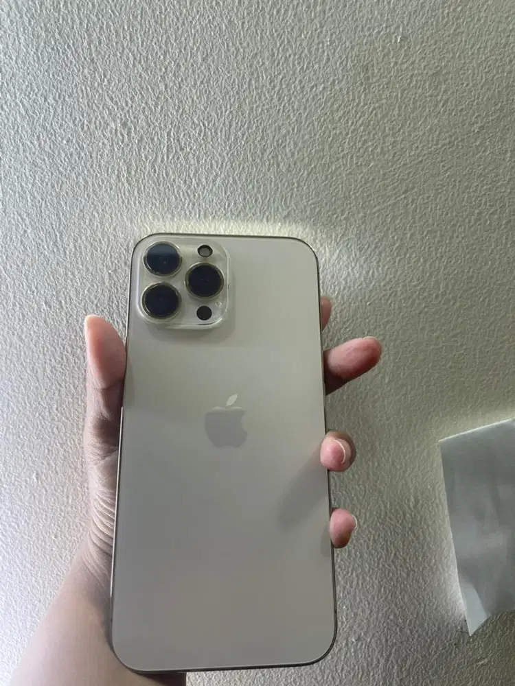 bismillah di jual iphone 13 promax 128 gb ibox