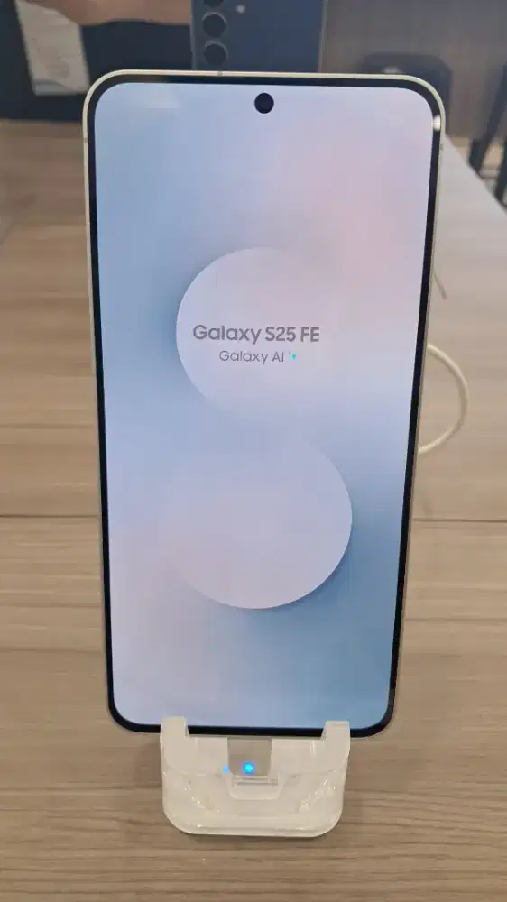 Samsung Galaxy S25 FE