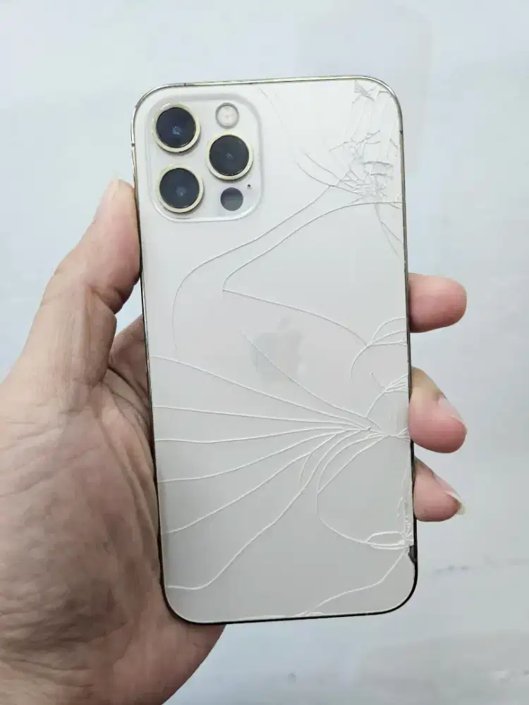 iphone 12 pro 256gb resmi ibox