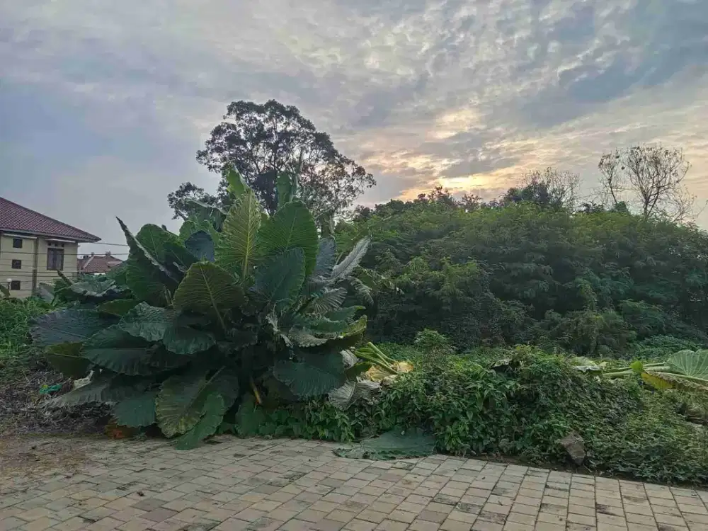 Lahan bebas banjir one gate di Jaksel Pesanggrahan