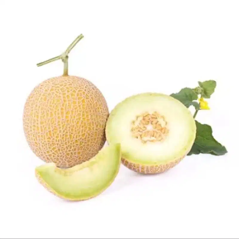 Operator Sortir dan Gudang Buah