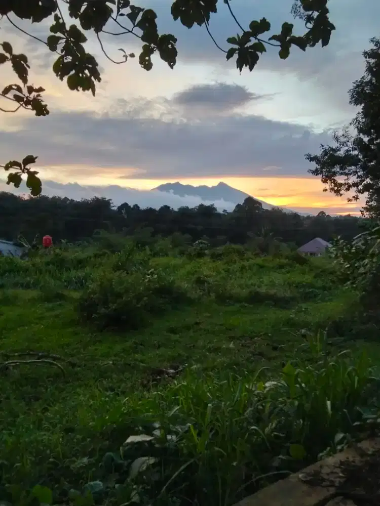 Jual Tanah Kosong Bogor Puncak