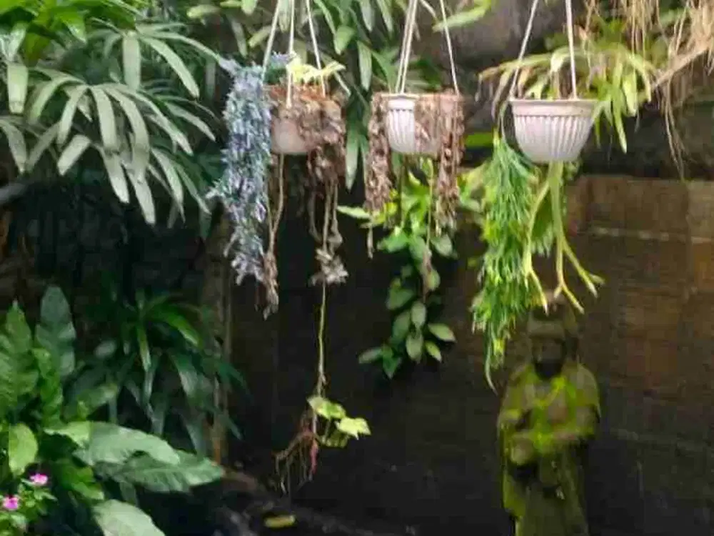 rumah beach side Sanur bali