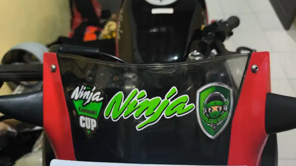 Topi Kawasaki ninja