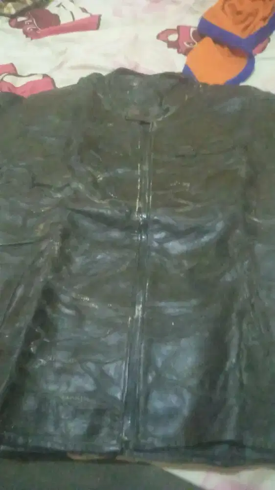 Jaket kulit asli