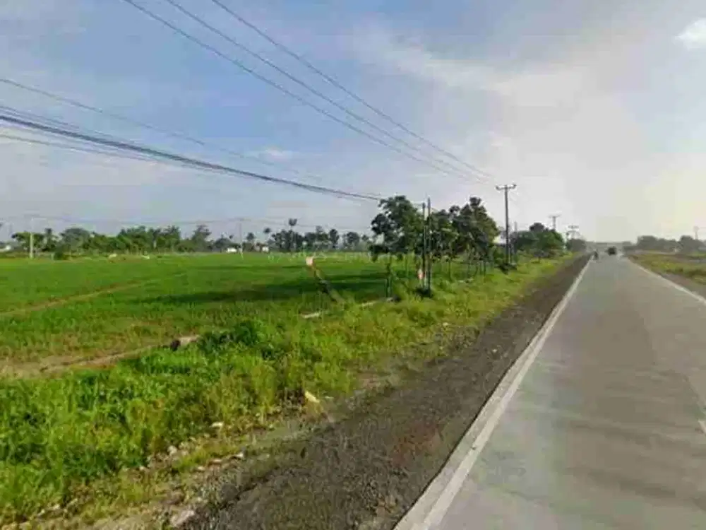tanah 8000 m² itera jalur 2 dekat tol