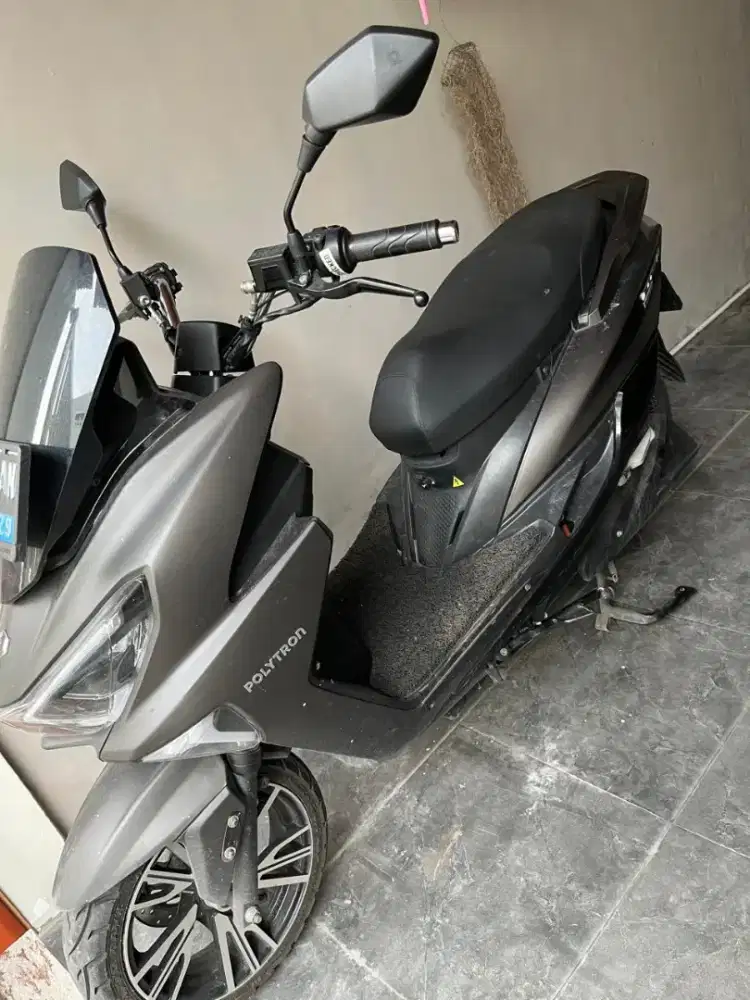 POLYTRON FOX R 2024 ABU MATTE