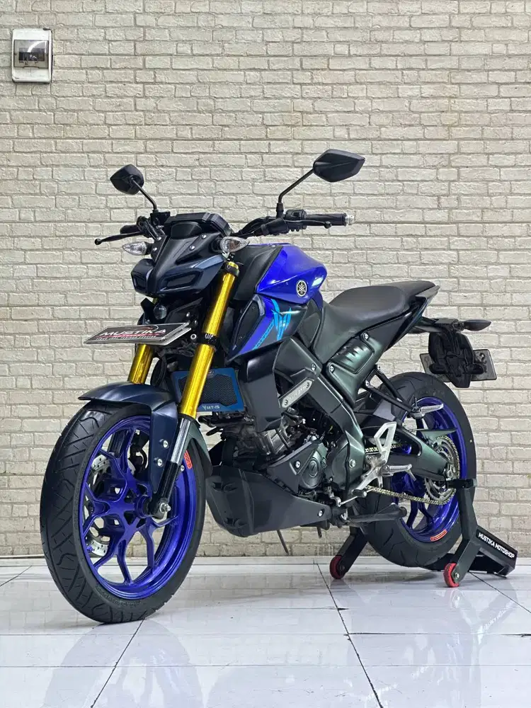 MT 15 Blue Race Favorite Color