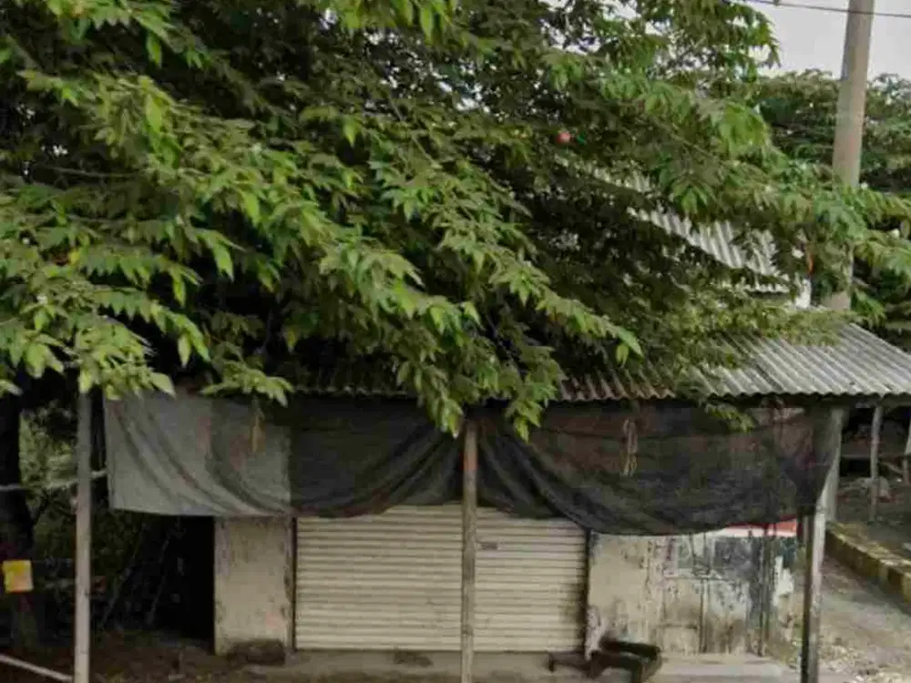 Tanah 590 m2 Siap Bangun di Raya Sidayu Gresik menghadap Jl. Ry Daendles Cocok unt Usaha/Gudang