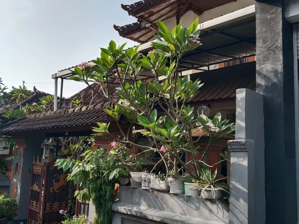 Dijual cepat rumah lantai 2 minimalis perpaduan bali - batubulan - Bali