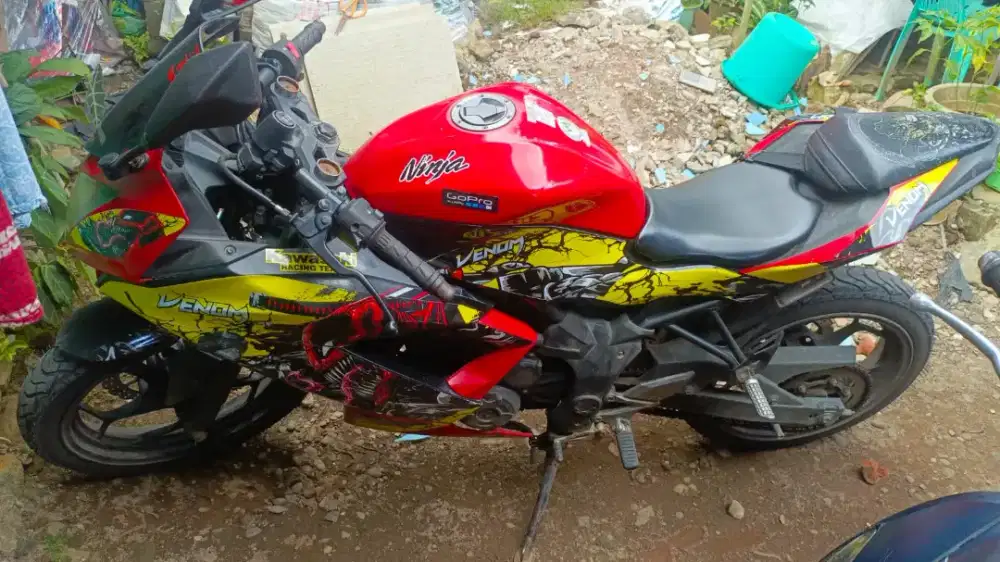 Kawasaki Ninja 250RR Mono