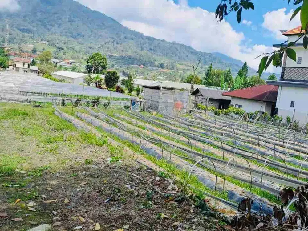 Tanah Pancasari Bedugul Bali