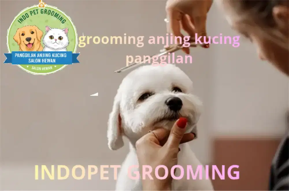 Pet Grooming panggilan termurah cat&dog panggilan