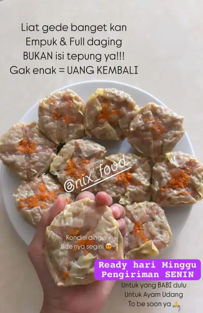 Somay BABI jumbo isi 10 ( bisa Frozen)