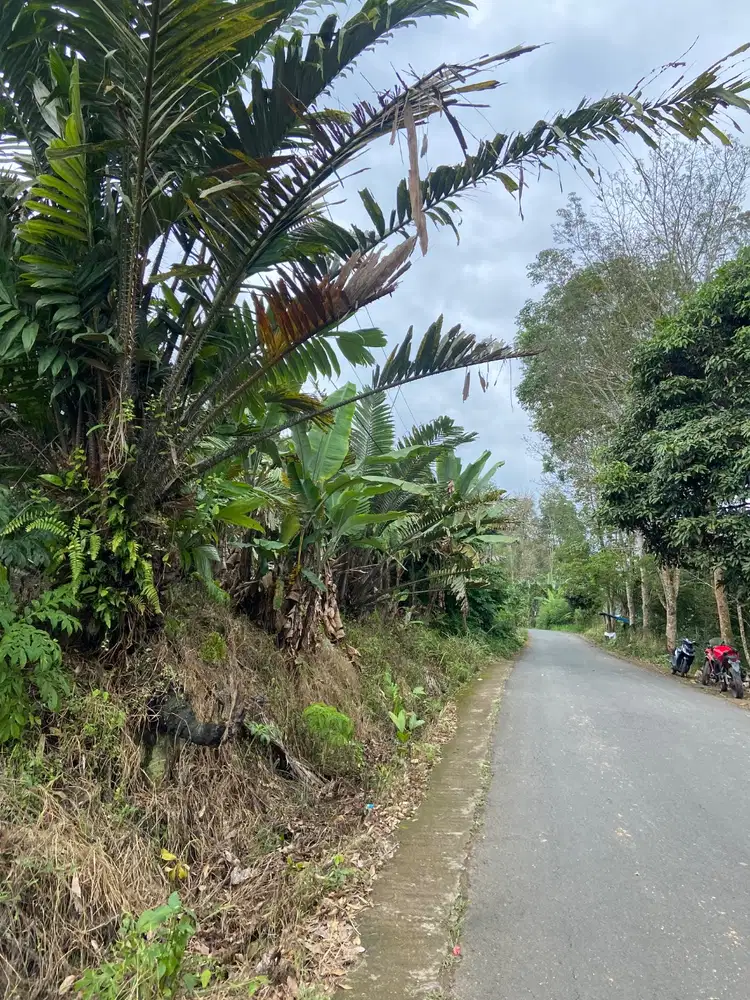 Dijual tanah strategis 1056 m2 pinggir jalan Angkola Julu