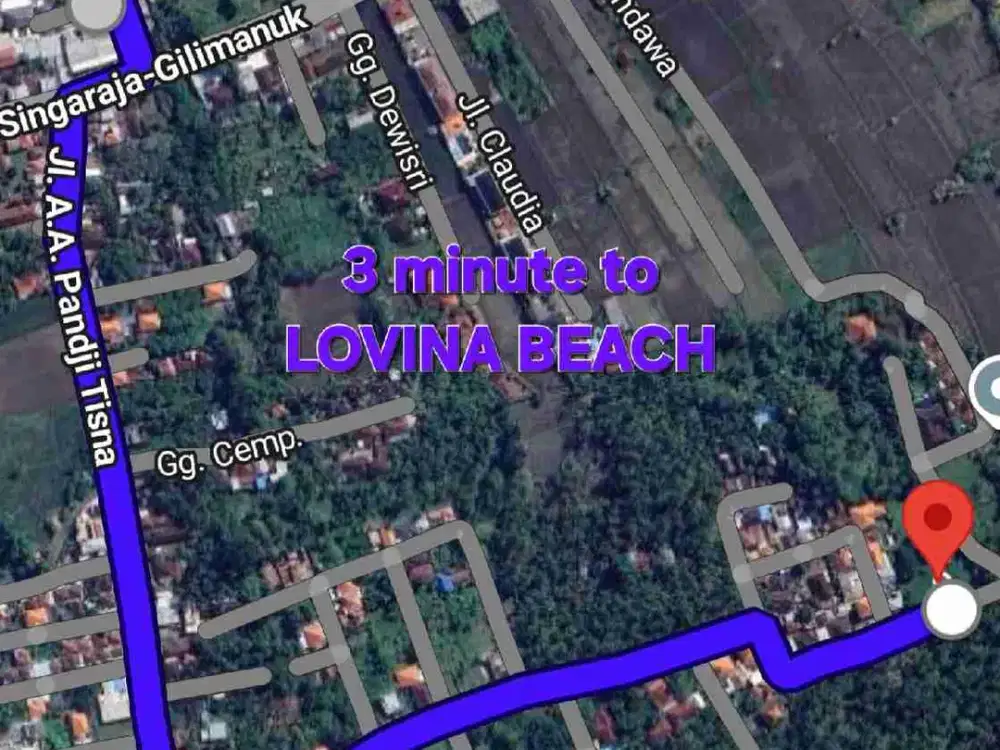Jual tanah 10 are dekat PANTAI LOVINA / LOVINA DOLPIN Buleleng Bali, cck utk VILLA