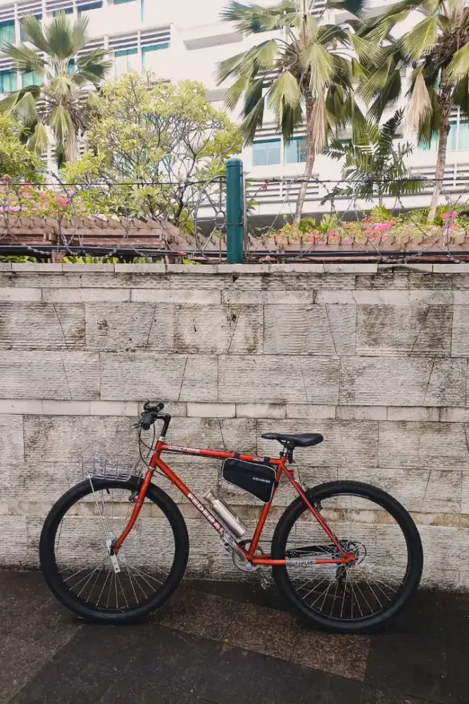 Sepeda federal street cat size 17