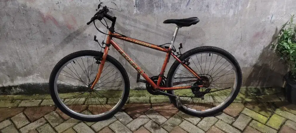 Federal torino terrain