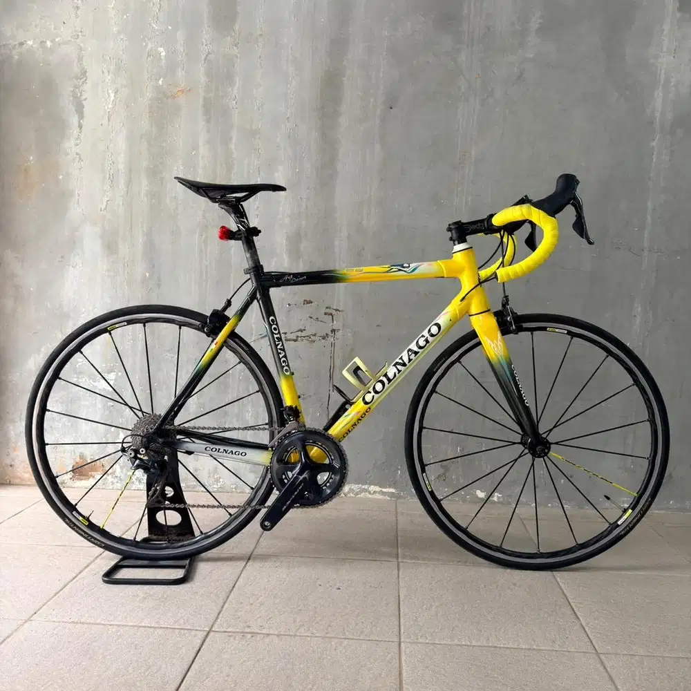 Colnago C59 Art Decor Road Bike