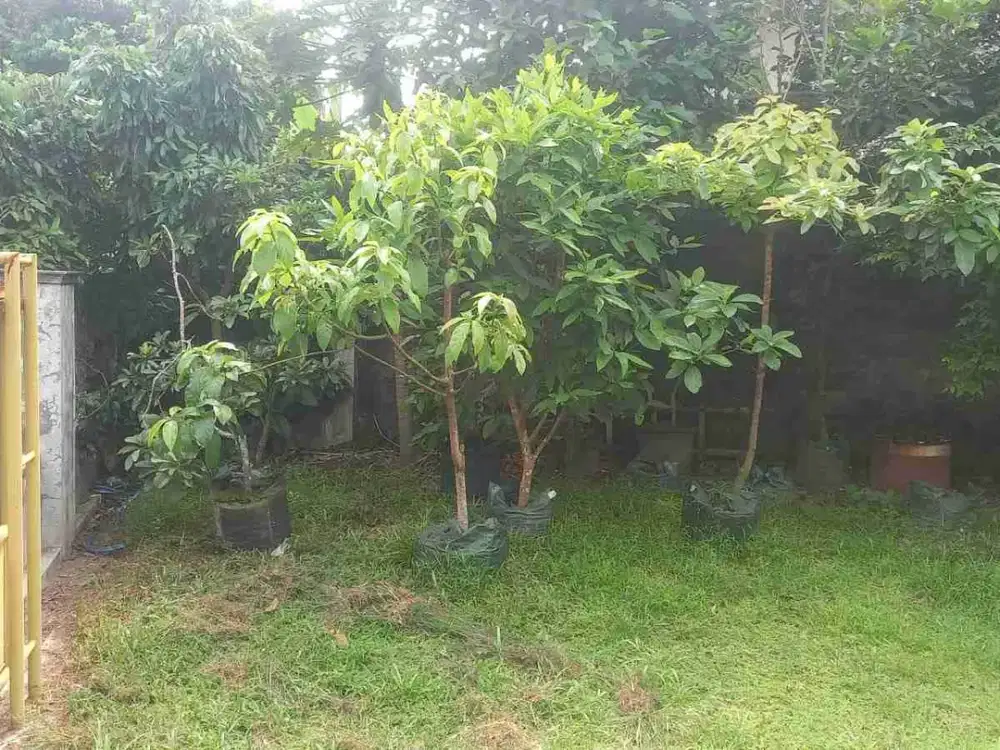 Tanah apik strategis di area Jogja utara dekat UGM